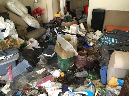 Hoarding cleanout help