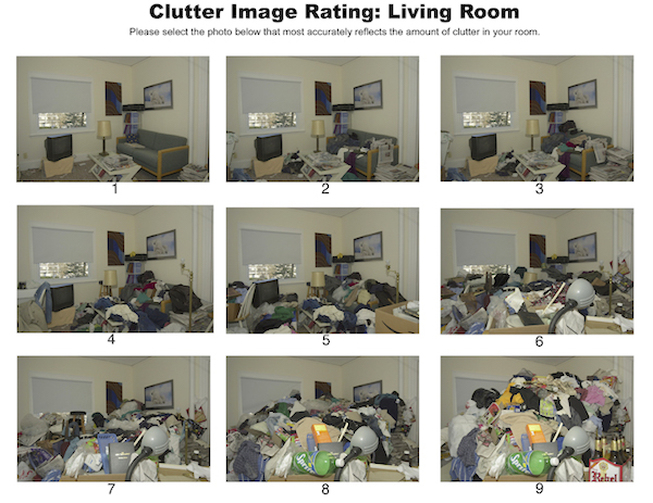 Clutter Image Rating